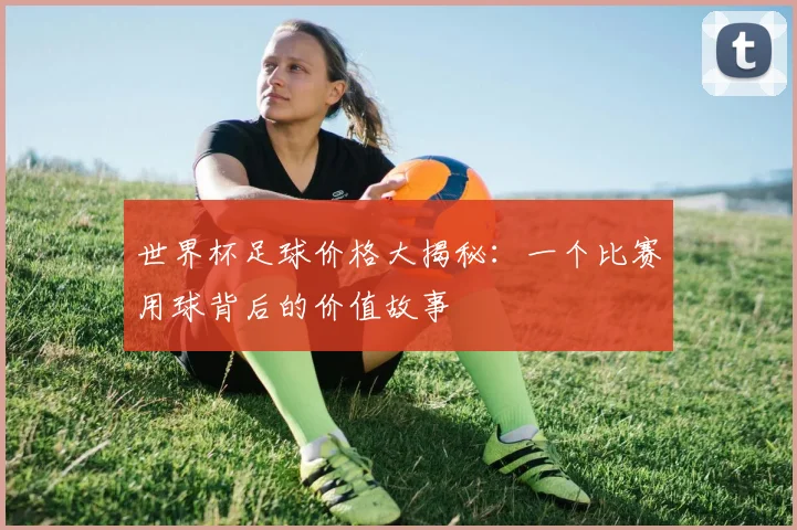 世界杯足球价格大揭秘：一个比赛用球背后的价值故事