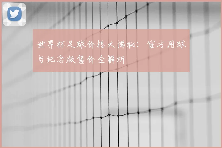 世界杯足球价格大揭秘:官方用球与纪念版售价全解析