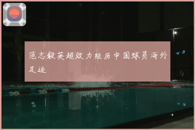 范志毅英超效力经历中国球员海外足迹