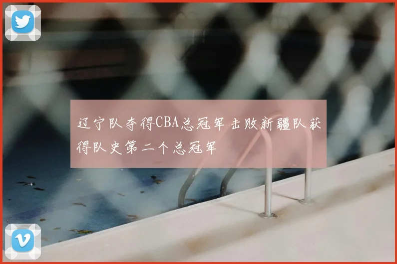 辽宁队夺得CBA总冠军击败新疆队获得队史第二个总冠军