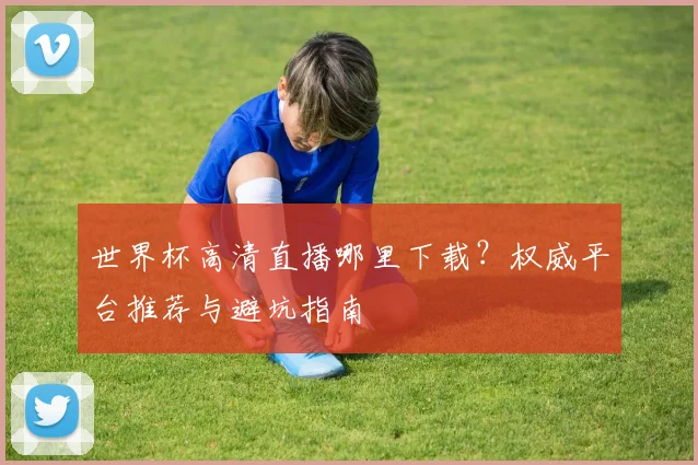 世界杯高清直播哪里下载?权威平台推荐与避坑指南