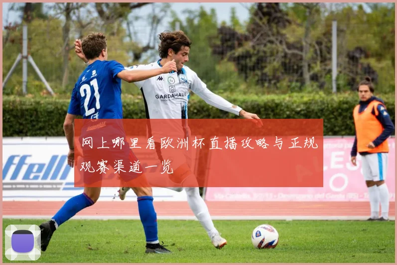 网上哪里看欧洲杯直播攻略与正规观赛渠道一览