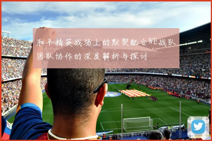 和平精英战场上的默契配合WE战队团队协作的深度解析与探讨