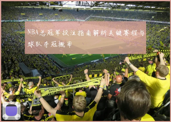 NBA总冠军投注指南解析关键赛程与球队夺冠概率