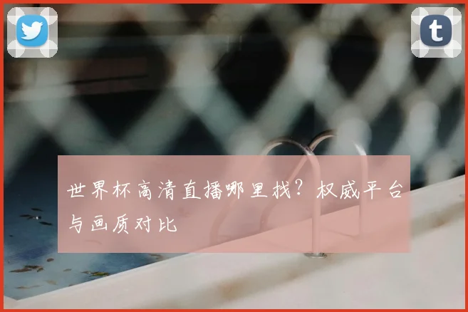 世界杯高清直播哪里找？权威平台与画质对比