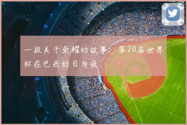 一段关于荣耀的故事:第20届世界杯在巴西的日与夜