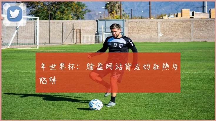 年世界杯:赌盘网站背后的狂热与陷阱