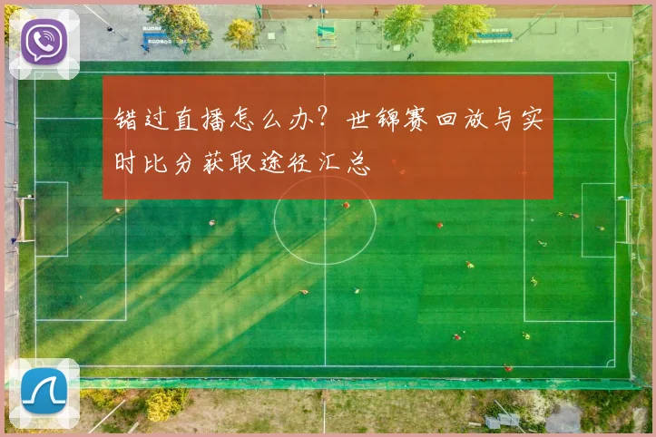 错过直播怎么办?世锦赛回放与实时比分获取途径汇总