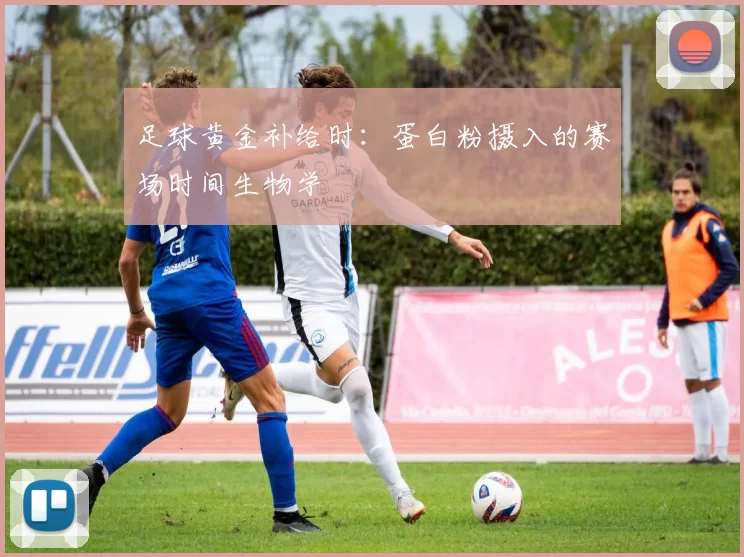 足球黄金补给时：蛋白粉摄入的赛场时间生物学