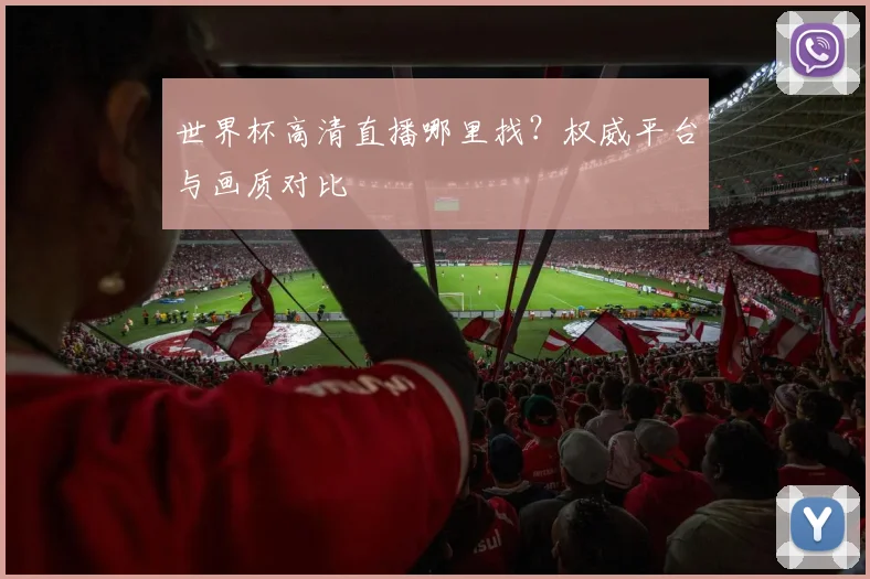世界杯高清直播哪里找?权威平台与画质对比