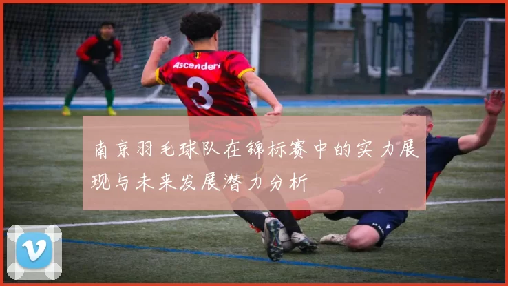 南京羽毛球队在锦标赛中的实力展现与未来发展潜力分析