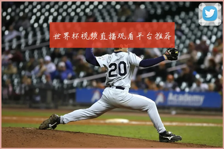 世界杯视频直播观看平台推荐