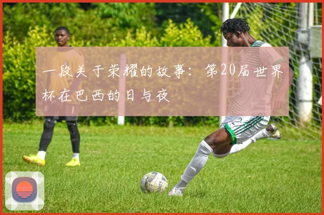 一段关于荣耀的故事：第20届世界杯在巴西的日与夜