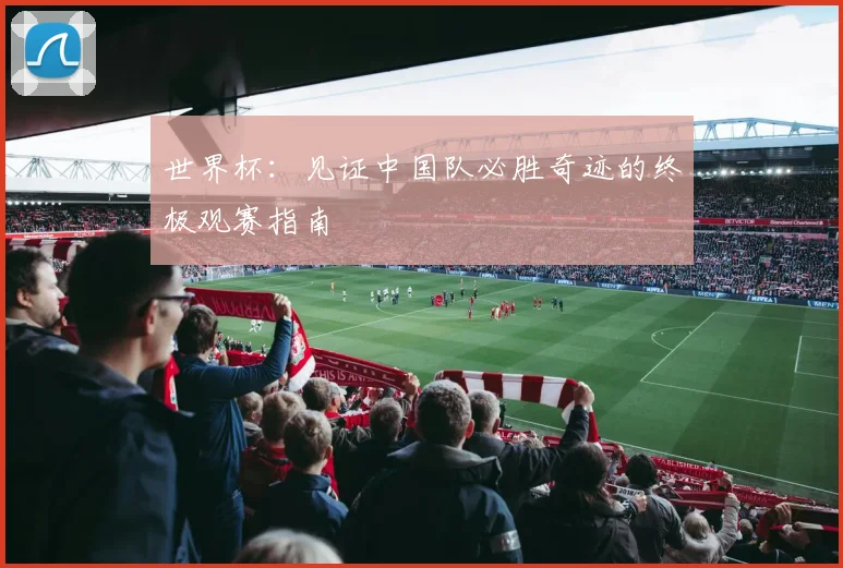 世界杯:见证中国队必胜奇迹的终极观赛指南