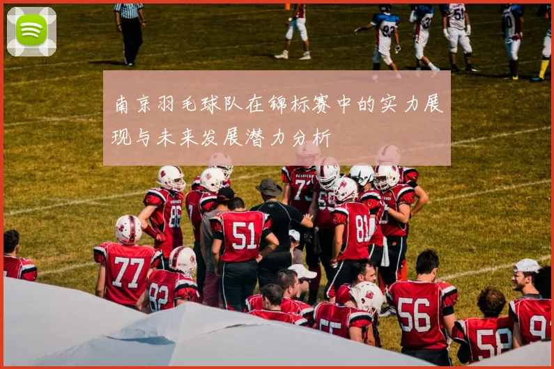 南京羽毛球队在锦标赛中的实力展现与未来发展潜力分析